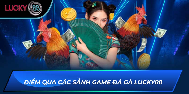 Điểm qua các sảnh game đá gà Lucky88 Điểm qua các sảnh game đá gà Lucky88
