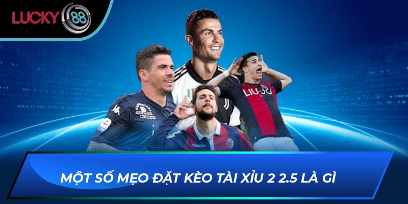 Một số mẹo đặt kèo tài xỉu 2 2.5 là gì Một số mẹo đặt kèo tài xỉu 2 2.5 là gì