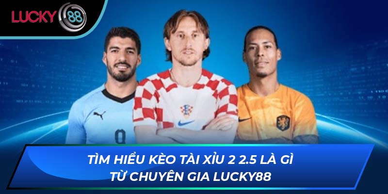 Tìm Hiểu Kèo Tài Xỉu 2 2.5 Là Gì Từ Chuyên Gia LUCKY88